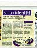 VS - Berita Harian 6 Feb 13