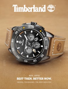 Dis_Timberland