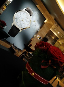 Braun_Buffel_Launch (5)