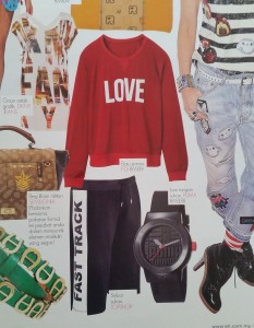 Puma-EH-Feb 2015